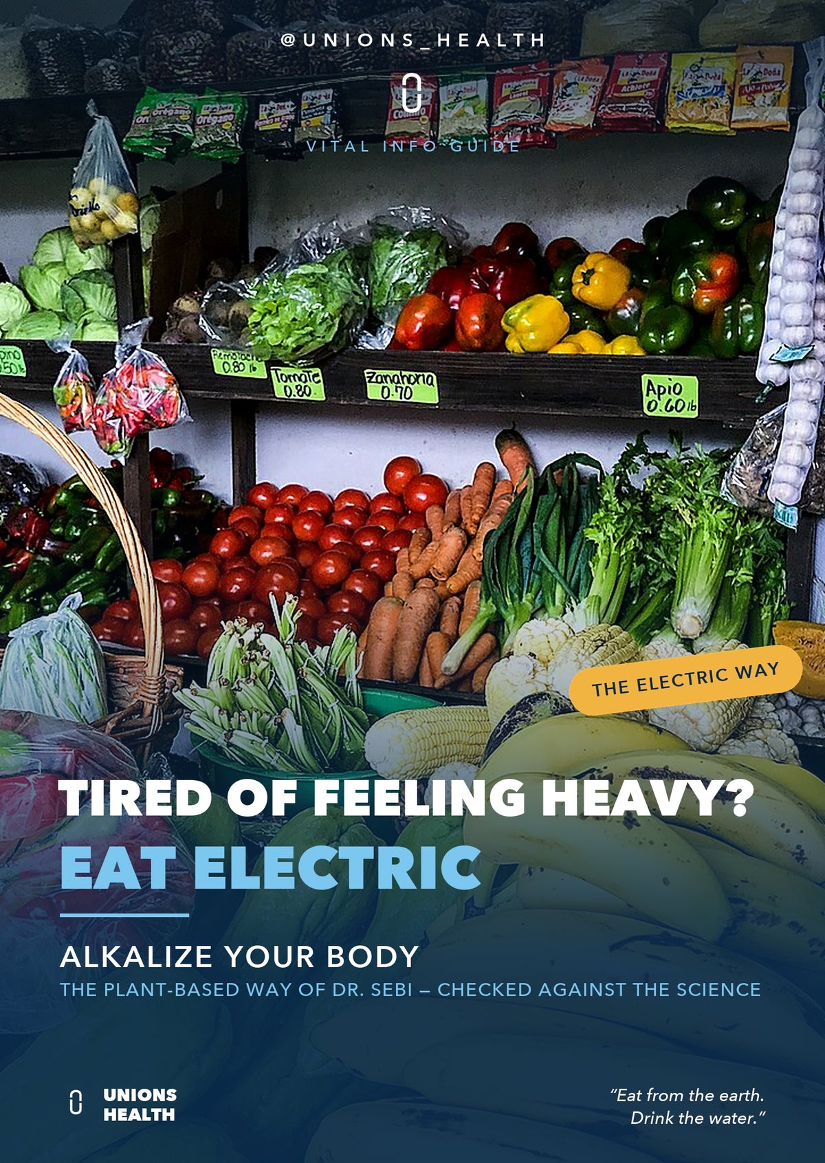 Alkalize Your Body ebook cover