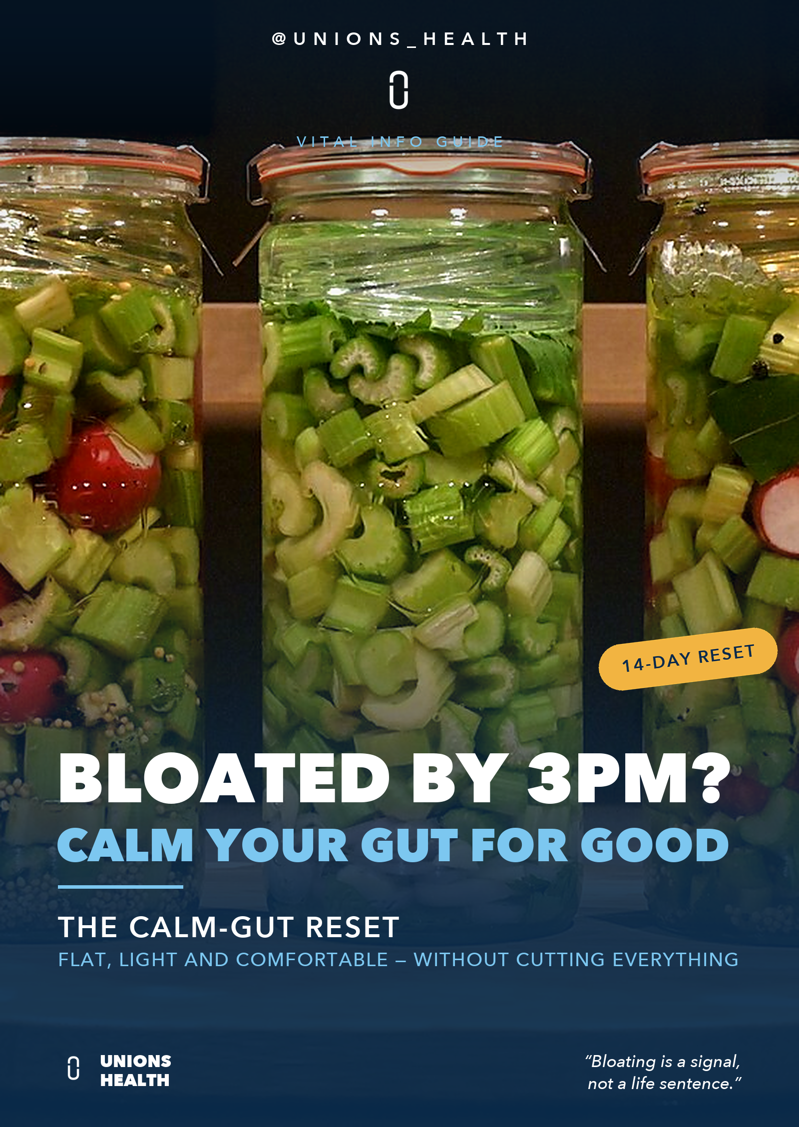 Beat the Bloat: The Calm-Gut Reset — Vital Info Guide cover