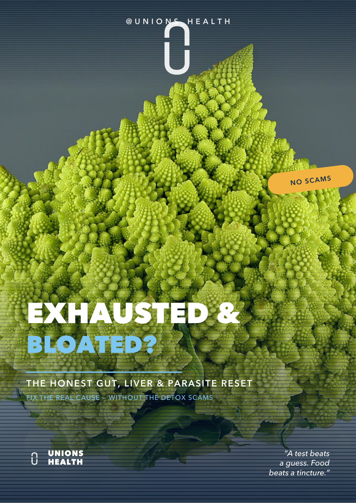 Exhausted & Bloated? The Honest Gut, Liver & Parasite Reset — Unions Health digital guide