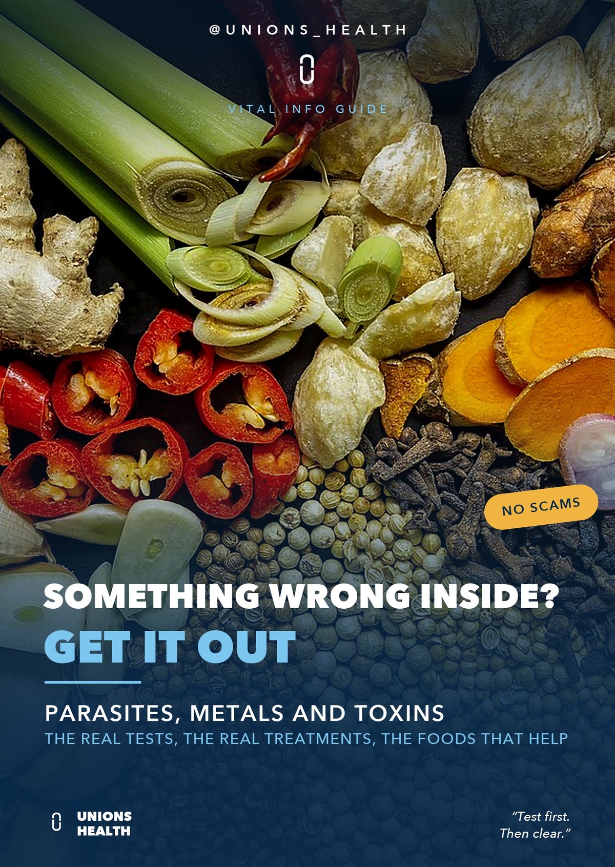 Parasites Metals Toxins ebook cover