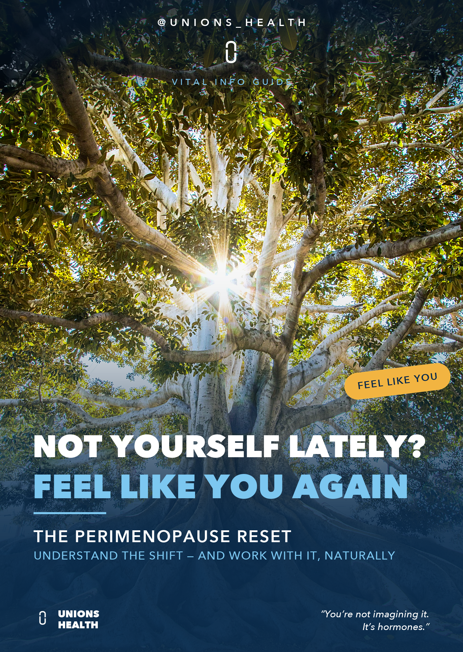 The Perimenopause Reset: Feel Like Yourself Again — Vital Info Guide cover