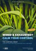 Wired & Exhausted? The Cortisol Reset — Vital Info Guide cover