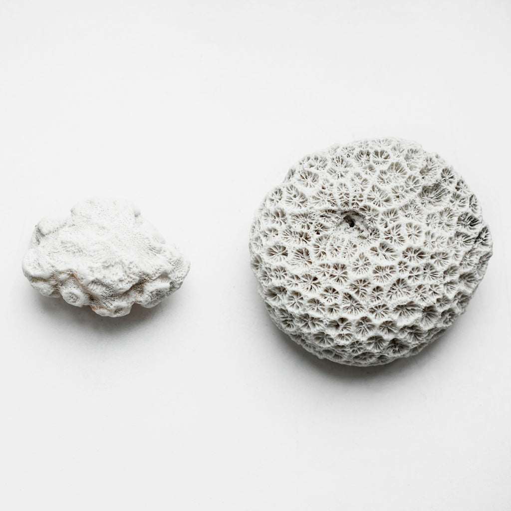 Multi-Purpose Clay Cleaning Stone