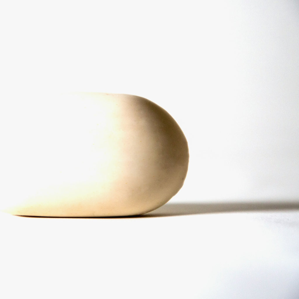 Solid shampoo bar on a white studio background