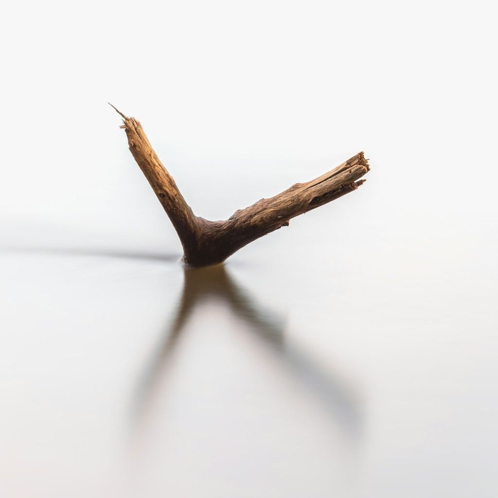 Siwak Sticks — Pack of 3