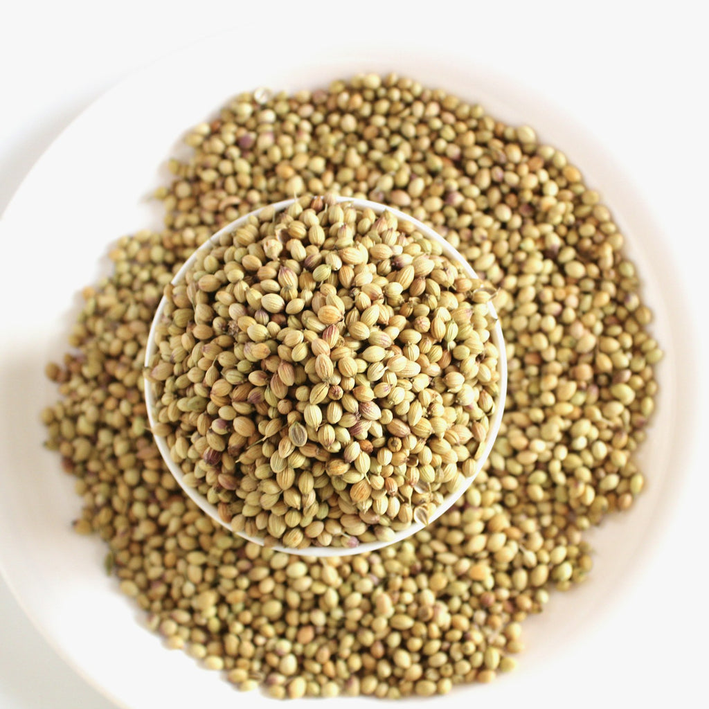 Organic coriander seeds in a white bowl