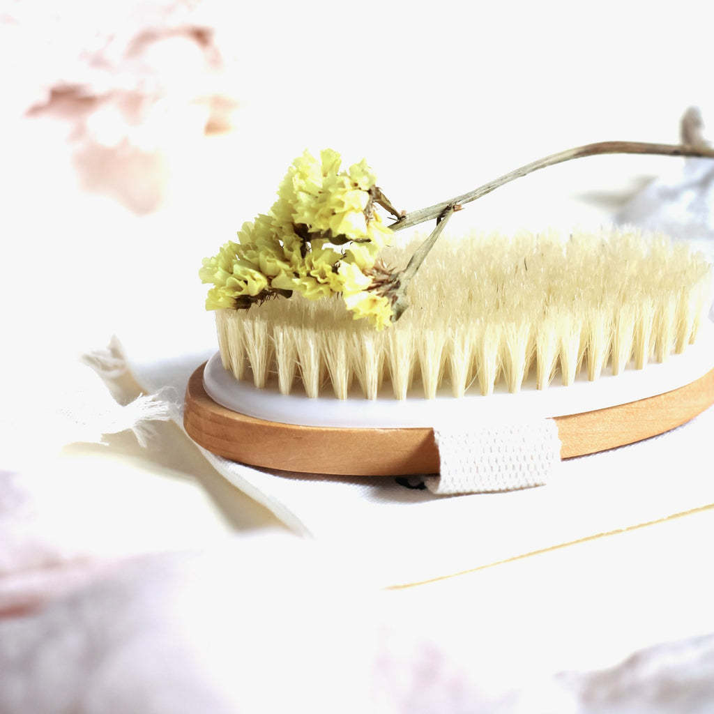 Natural bristle dry body brush with wooden base on a white background