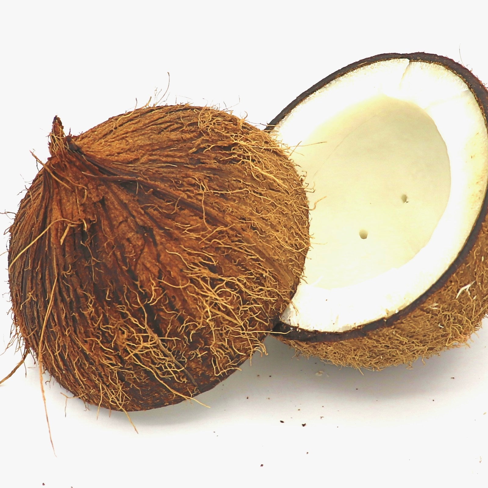 Halved coconut shell on a white studio background