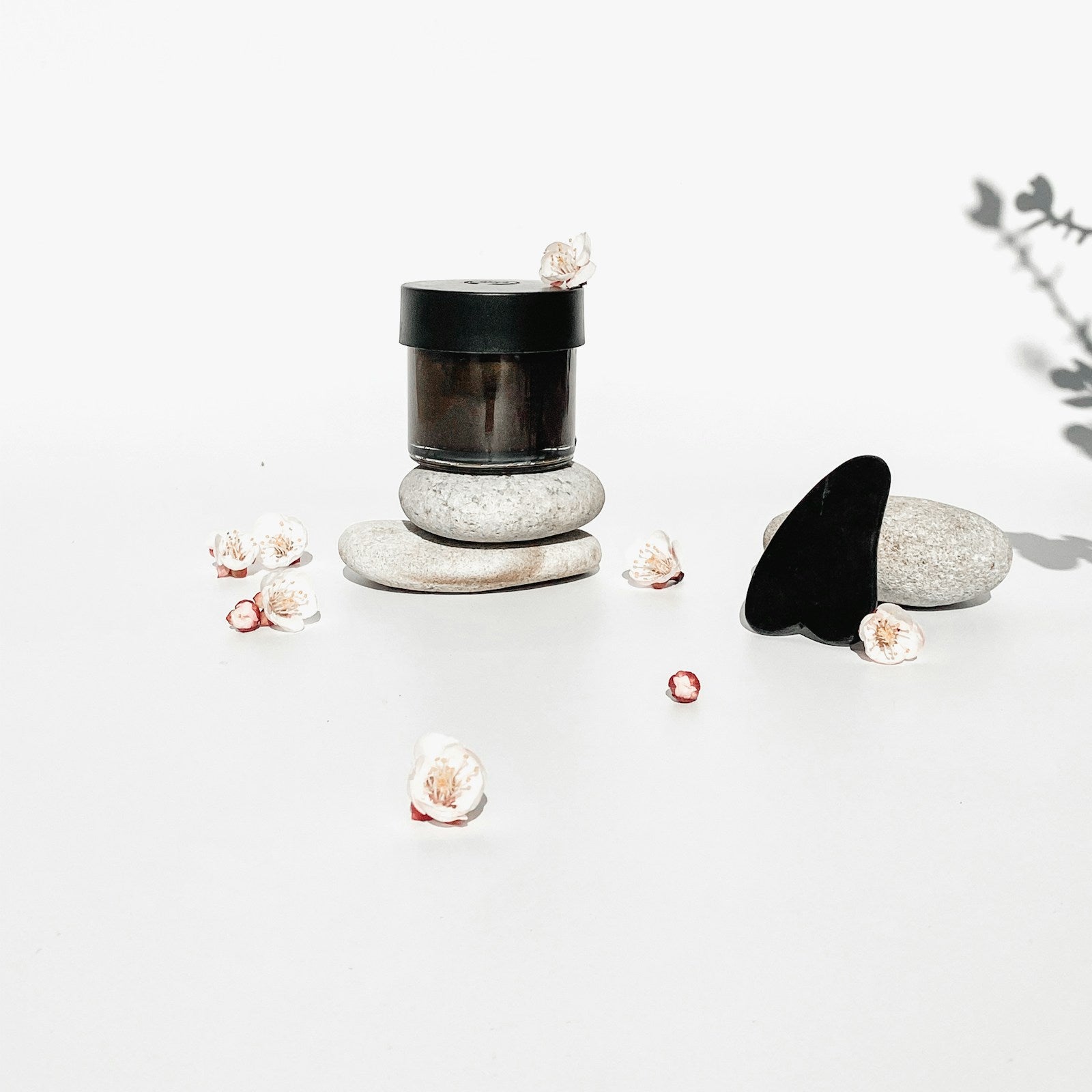 Pure Himalayan Shilajit Resin
