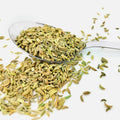 Organic Fennel Seeds