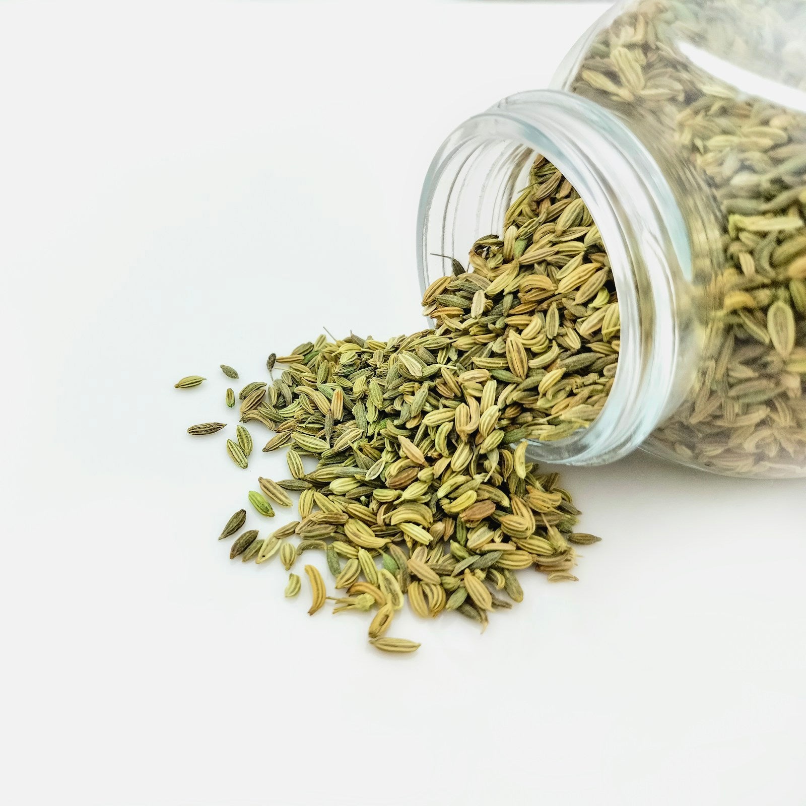 Organic Fennel Seeds